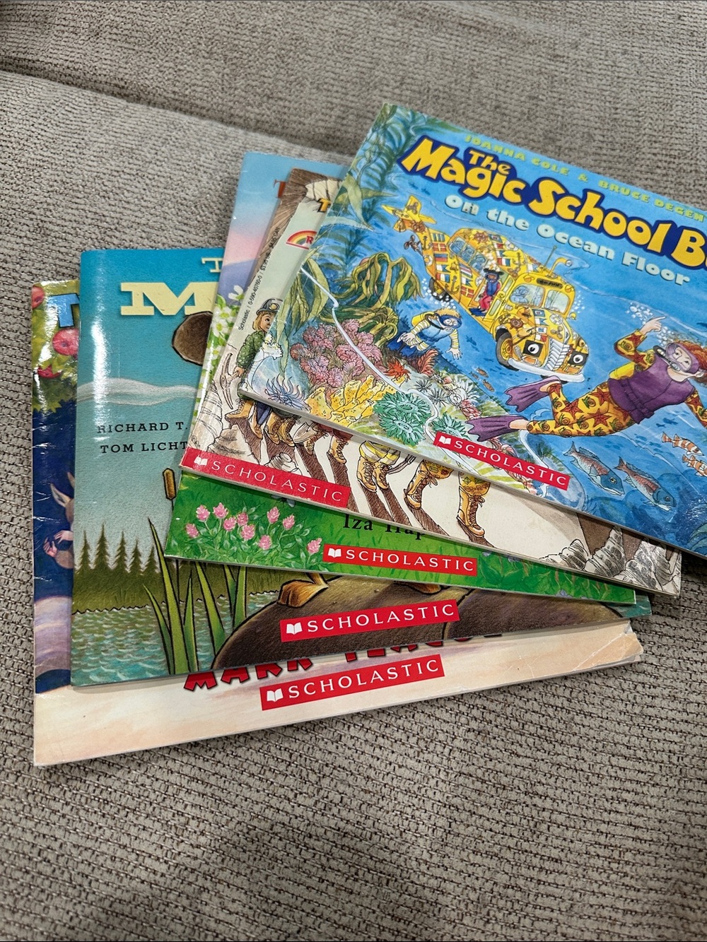 Scholastic Kids Picture 5 Book Lot